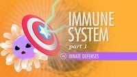 Immune System, Part 1 - Innate Defenses