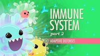 Immune System, Part 2 - Adaptive Defenses