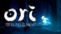 AGDQ - Ori and the Blind Forest