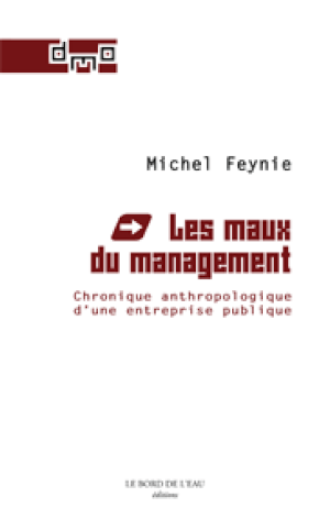 Les maux du management. Chronique anthropologique d'une entreprise publique