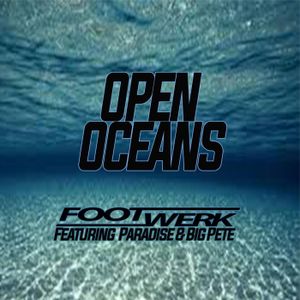 Open Oceans (Single)