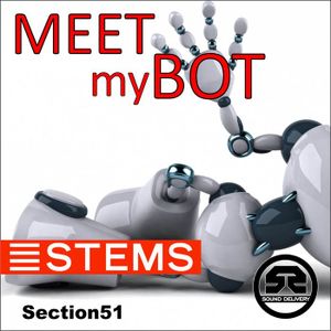 Meet My Bot (Single)