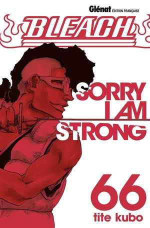Sorry I Am Strong - Bleach, tome 66