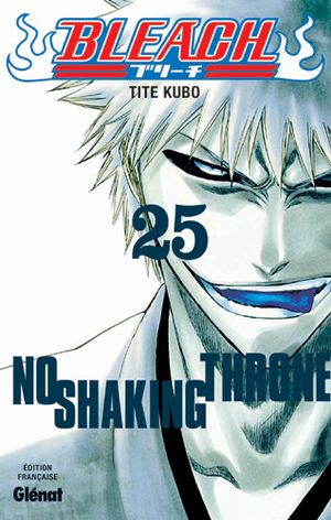 No Shaking Throne - Bleach, tome 25