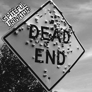 Dead End (Electro Hippies) (Single)