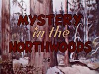 Mystery in the Northwoods