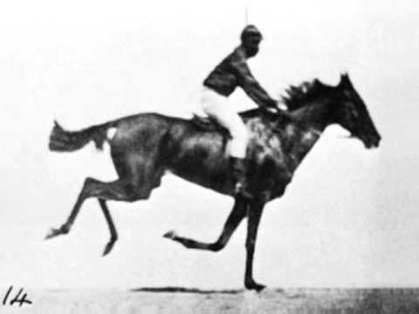 Séquence en mouvement du galop de Annie G.