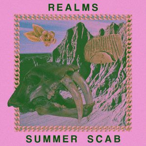 SUMMER SCAB