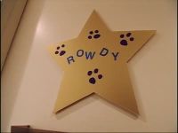 Rowdy, Wizard and Rio