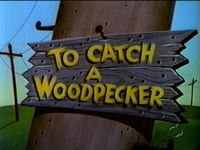 To Catch a Woodpecker