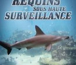 image-https://media.senscritique.com/media/000013619869/0/requins_sous_haute_surveillance.jpg