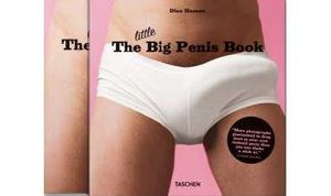 The little big penis book