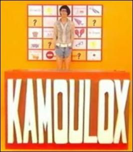 Kamoulox - Émission TV - SensCritique