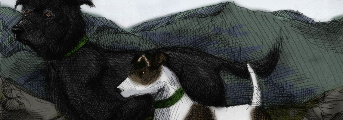 Cover The Plague Dogs