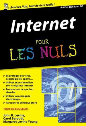 Internet Pour les Nuls, édition poche, 17ème édition