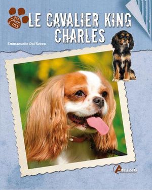 Le Cavalier king charles