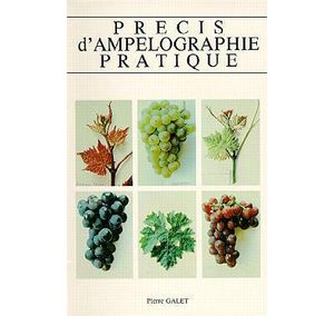 Précis d'ampélographie pratique