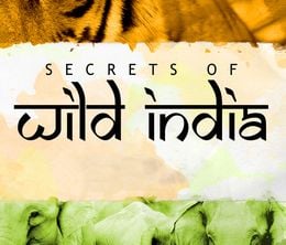 image-https://media.senscritique.com/media/000013674875/0/secrets_of_wild_india.jpg