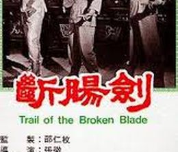 image-https://media.senscritique.com/media/000013696667/0/the_trail_of_the_broken_blade.jpg