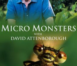 image-https://media.senscritique.com/media/000013705791/0/micro_monsters_with_david_attenborough.jpg
