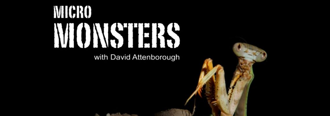Cover Micro Monsters with David Attenborough