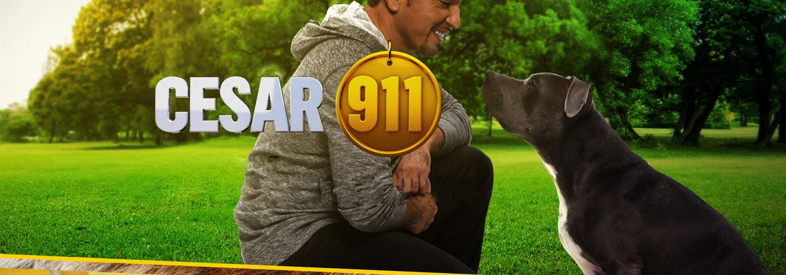 Cover Cesar 911