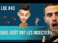Quel goût ont les insectes ?