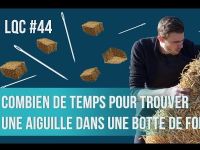 Combien de temps pour trouver une aiguille dans une botte de foin ?