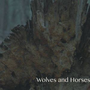 Wolves and Horses EP (EP)