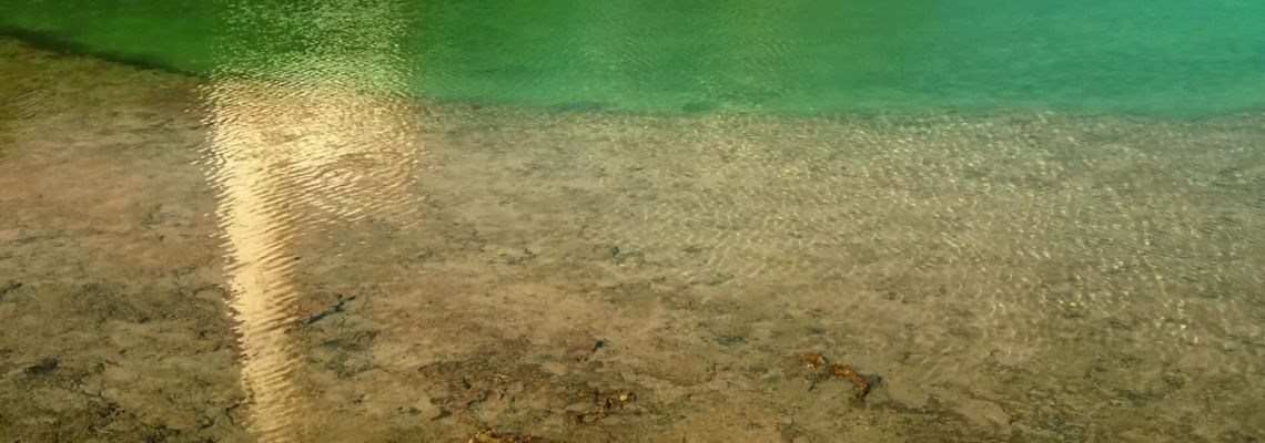 Cover Murmur of the Hearts