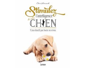 Stimulez l'intelligence de votre chien