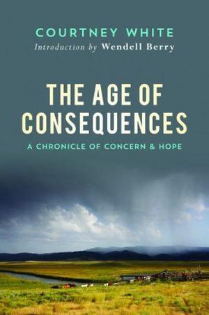 The Age of Consequences