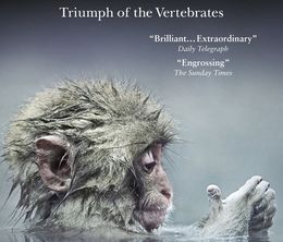 image-https://media.senscritique.com/media/000013816882/0/david_attenborough_s_rise_of_animals_triumph_of_the_vertebrates.jpg