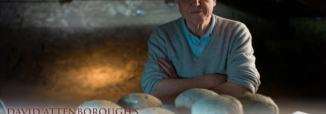 Cover David Attenborough's Rise of Animals: Triumph of the Vertebrates