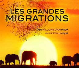 image-https://media.senscritique.com/media/000013823018/0/les_grandes_migrations.jpg
