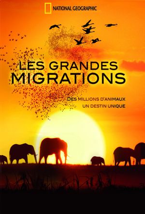 Les Grandes Migrations