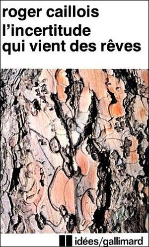 L'Incertitude qui vient des rêves