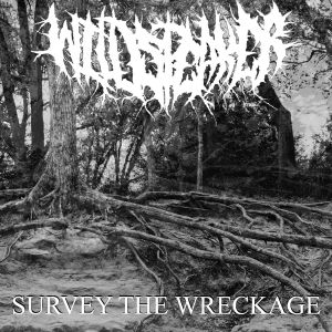 Survey the Wreckage