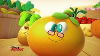 Le pamplemousse