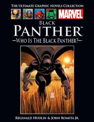 Panthère Noire : Qui est la Panthère Noire ?