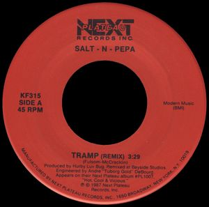 Tramp (remix) / Push It (remix) (Single)