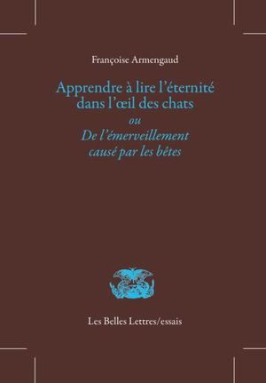 Apprendre à lire l'éternité dans l'œil des chats