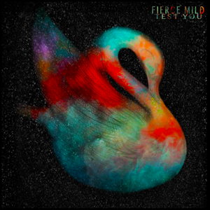 Test You (Single)