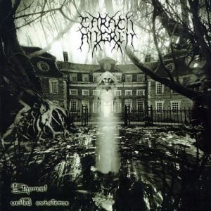 Ethereal Veiled Existence (EP)