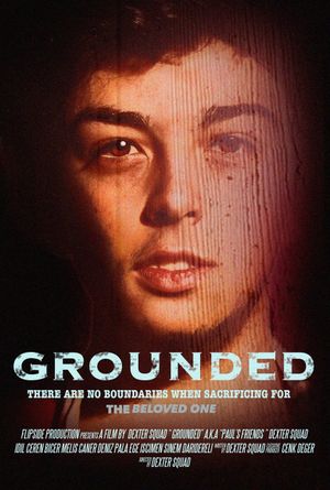 Grounded