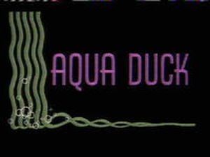 Aqua Duck