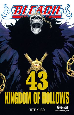 Kingdom Of Hollows - Bleach, tome 43