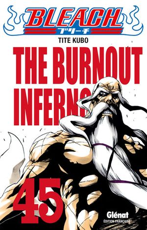 The Burnout Inferno - Bleach, tome 45