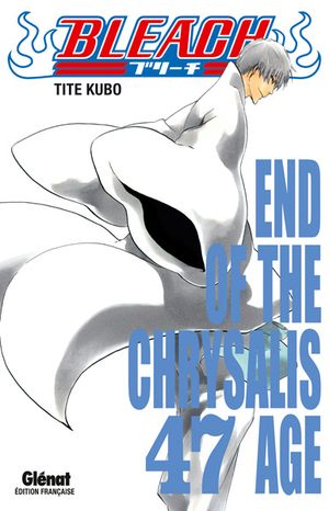 End Of The Chrysalis Age - Bleach, tome 47