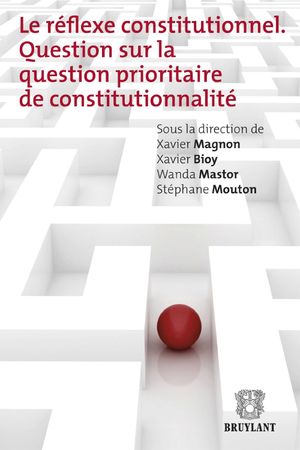 Le réflexe constitutionnel. Question sur la question prioritaire de constitutionnalité